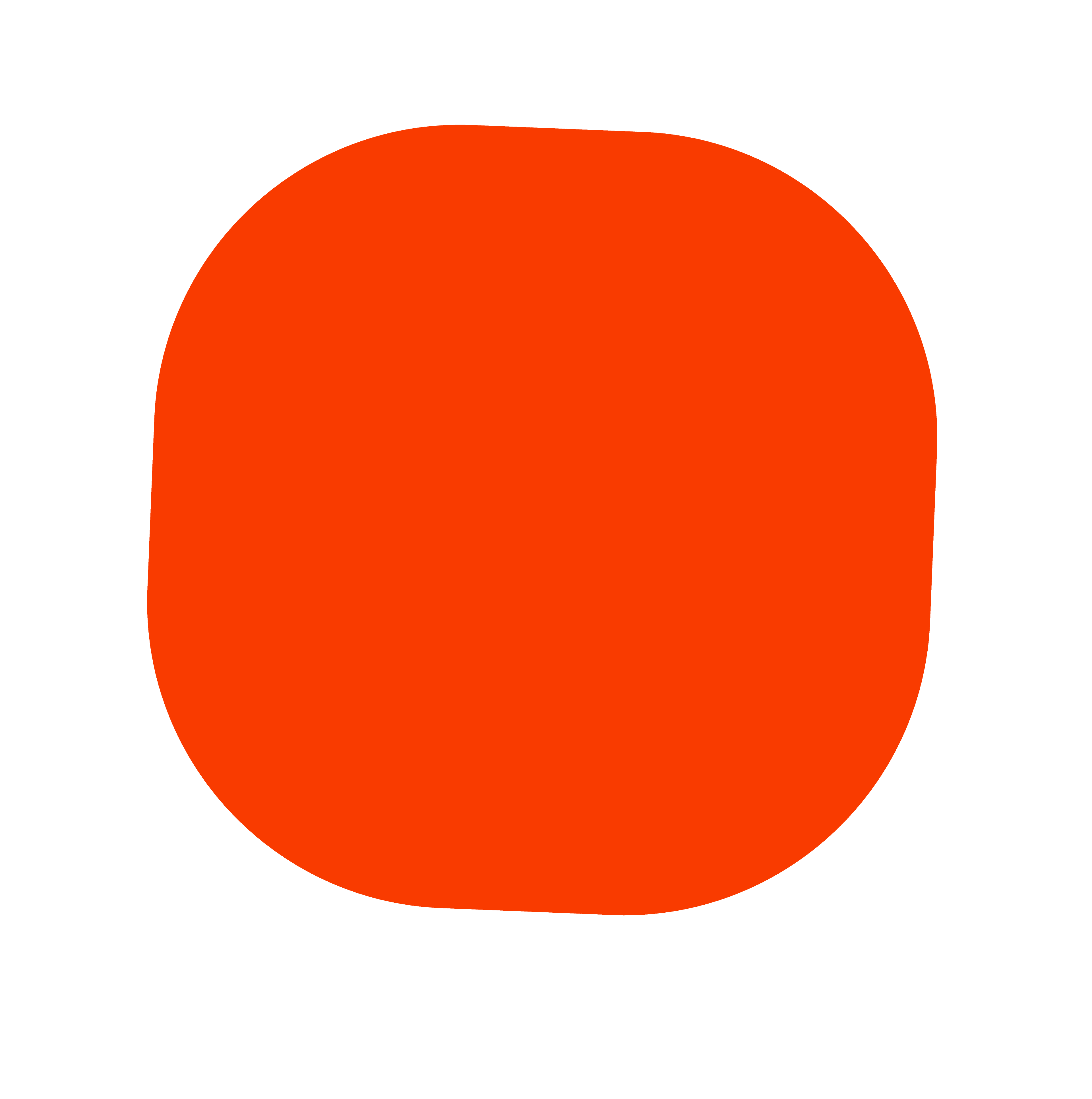 Flagoutlms logo